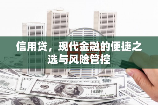 左营信用贷，现代金融的便捷之选与风险管控