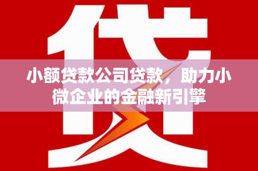左营小额贷款公司贷款，助力小微企业的金融新引擎