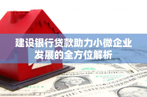左营建设银行贷款助力小微企业发展的全方位解析