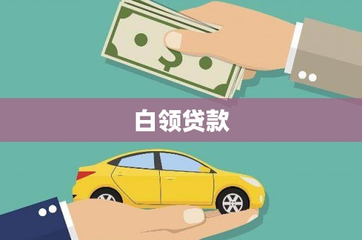 左营白领贷款