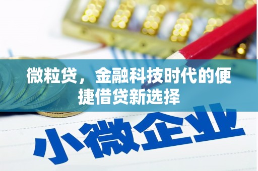 左营微粒贷，金融科技时代的便捷借贷新选择