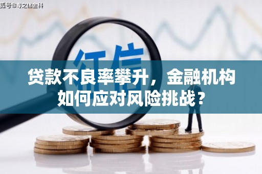 左营贷款不良率攀升，金融机构如何应对风险挑战？