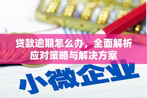 左营贷款逾期怎么办，全面解析应对策略与解决方案