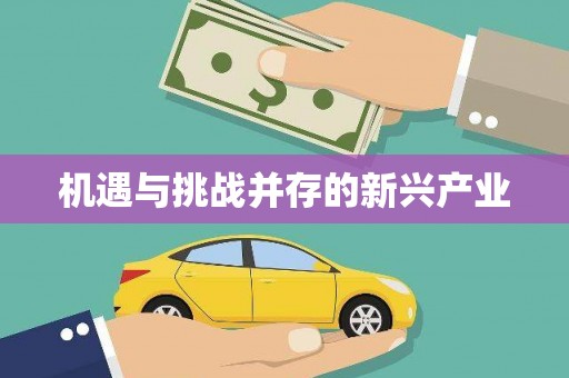 左营机遇与挑战并存的新兴产业