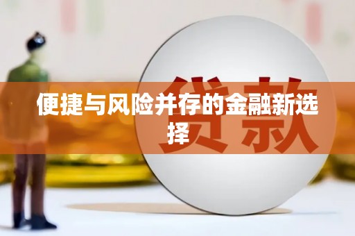 左营便捷与风险并存的金融新选择