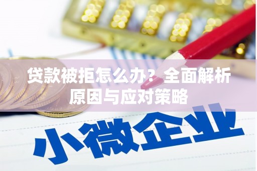 左营贷款被拒怎么办？全面解析原因与应对策略