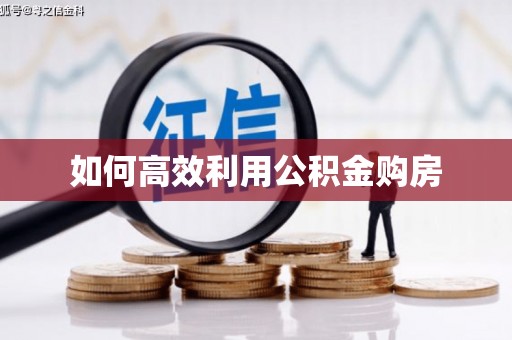 左营如何高效利用公积金购房