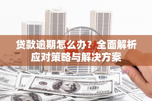 左营贷款逾期怎么办？全面解析应对策略与解决方案