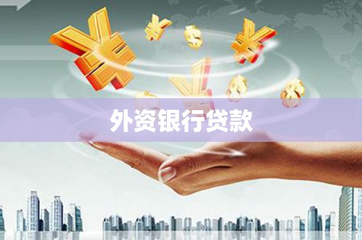 左营外资银行贷款