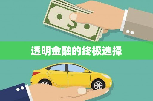 左营透明金融的终极选择