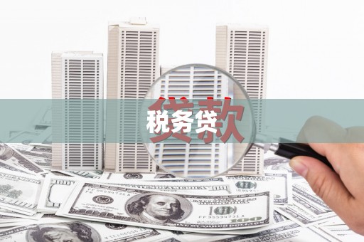 左营税务贷