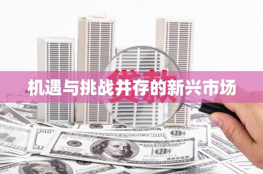 左营机遇与挑战并存的新兴市场