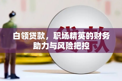 左营白领贷款,职场精英的财务助力与风险把控 左营白领贷款,职场精英的财务助力与风险把控